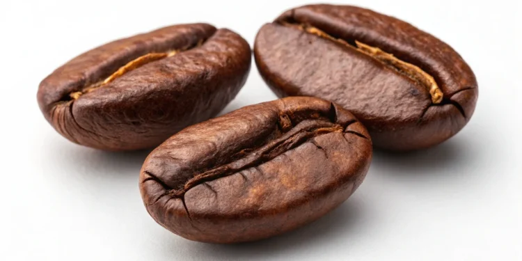 Brazilian Santos coffee beans with smooth texture and medium roast