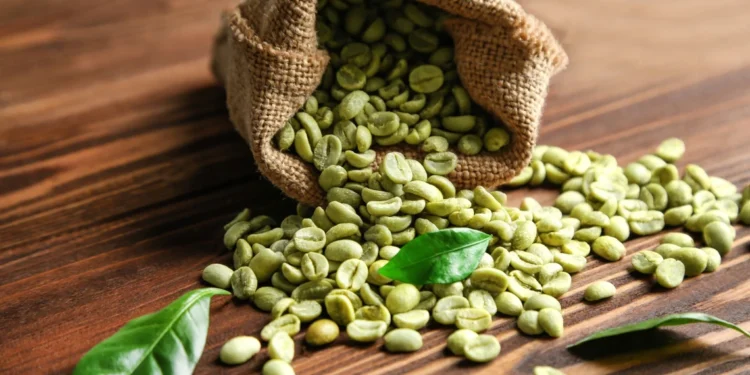 Costa Rica Tarrazu coffee beans with bright green color before roasting