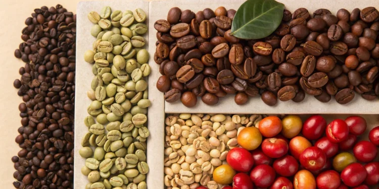Ethiopian Sidamo coffee beans showing variety in size and processing methods