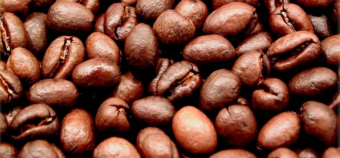 Tanzania Peaberry coffee beans showing distinctive round shape compared to flat beans